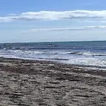 Seaside Serenity In Faldsled-by Traum