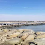 Seaside Serenity In Faldsled-by Traum Σπίτι διακοπών Millinge