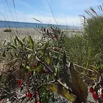 Seaside Serenity In Faldsled-by Traum Σπίτι διακοπών