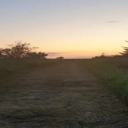 Holiday home Seaside Serenity In Faldsled-by Traum