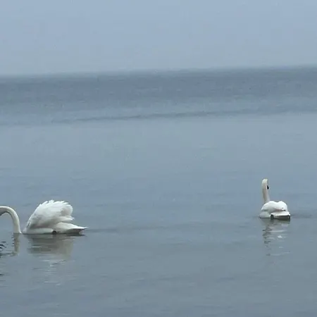 Σπίτι διακοπών Seaside Serenity In Faldsled-by Traum