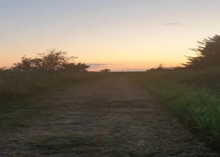 Holiday home Seaside Serenity In Faldsled-by Traum