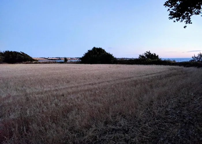 Seaside Serenity In Faldsled-by Traum Millinge